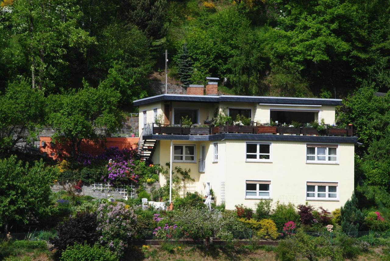 Ferienwohnung Haus Am Sommerberg Ludwigsstadt Exterior photo